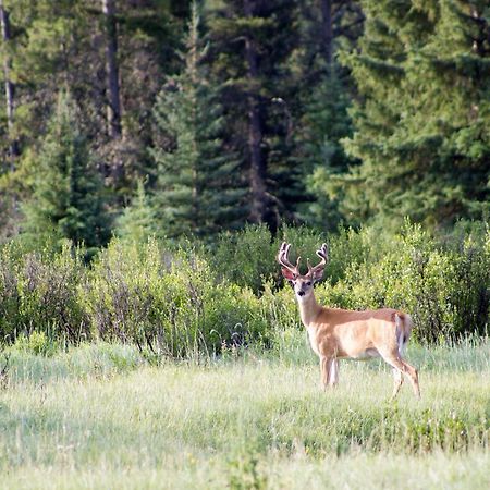 Rock Lake Lodge Rock Lake Lodge Provincial Park ภายนอก รูปภาพ