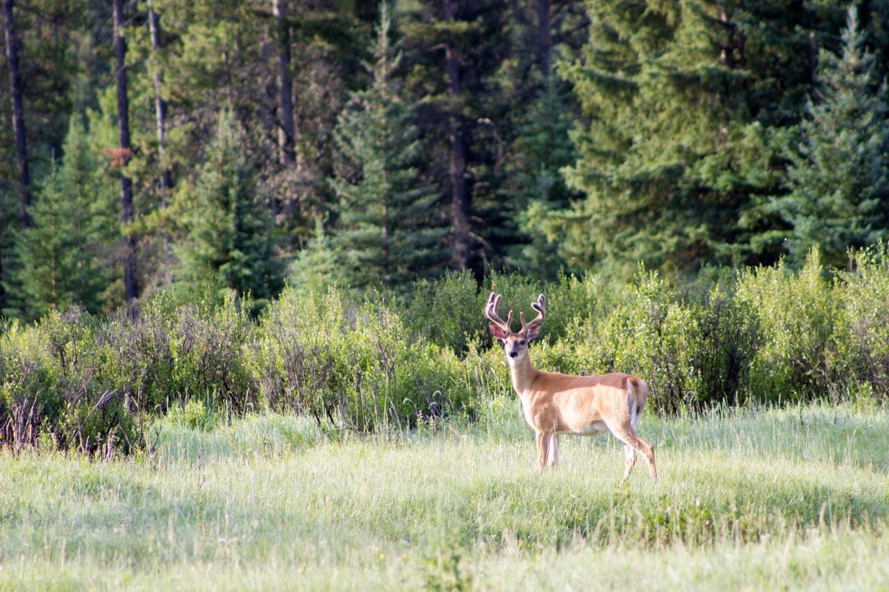 Rock Lake Lodge Rock Lake Lodge Provincial Park ภายนอก รูปภาพ